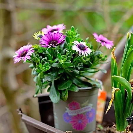 Apartman Milchtuetenzimmer - Upcycling Grünwald